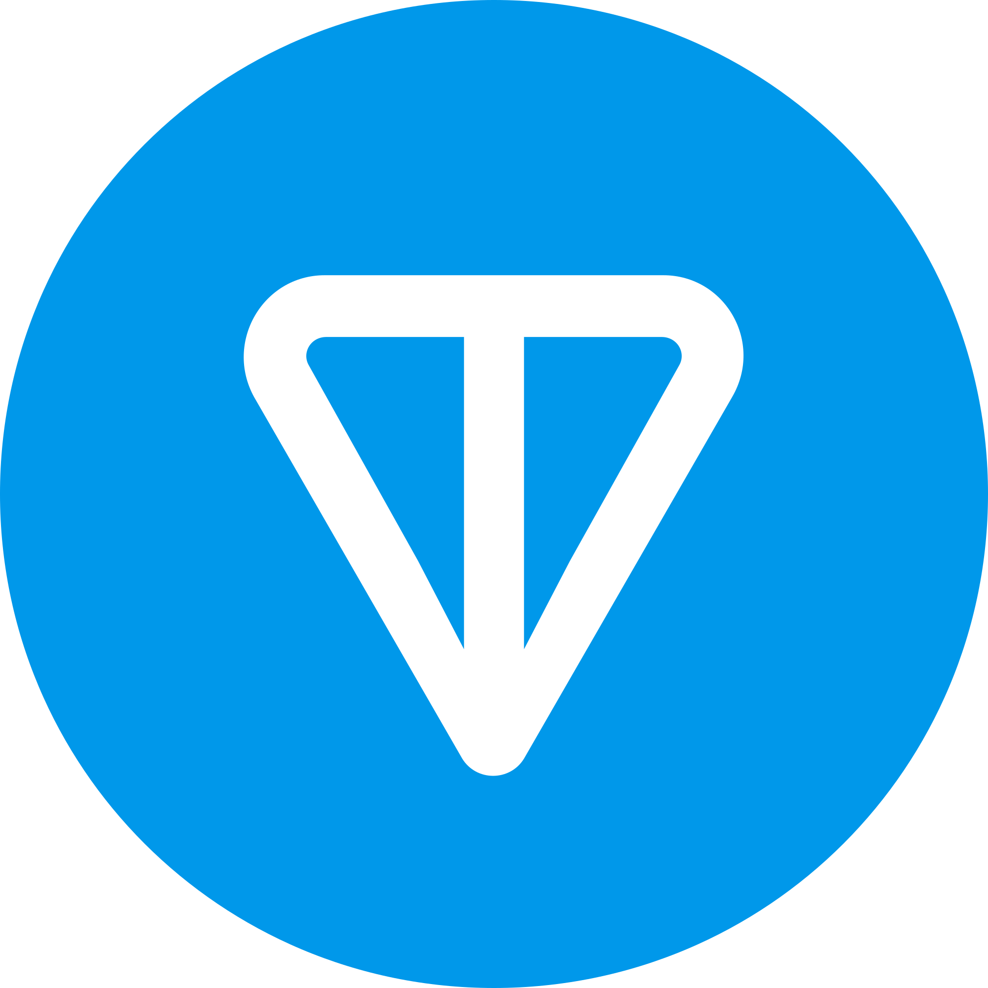 TON COIN